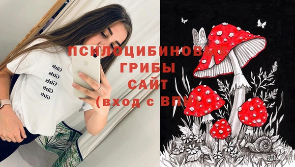 PSILOCYBIN Елизово