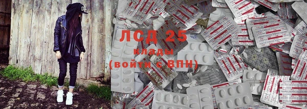 PSILOCYBIN Елизово