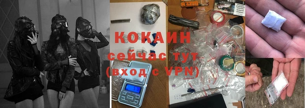МДМА Ельня