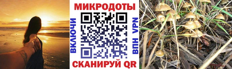 Псилоцибиновые грибы Magic Shrooms  Купить где  Енисейск 